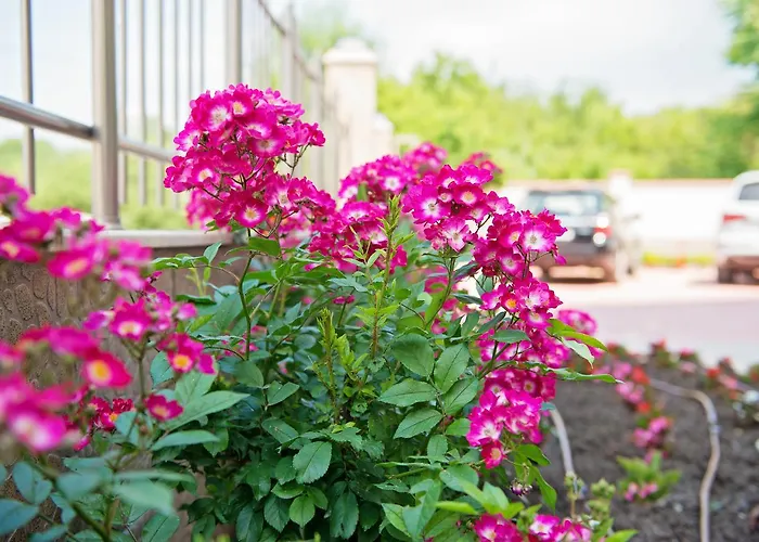 Хотел семеен адена 3*